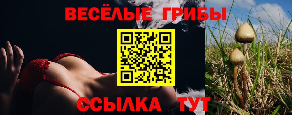 Асбест  Псилоцибиновые грибы MAGIC MUSHROOMS  Вход с VPN 